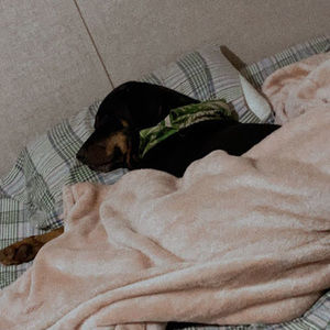 Meet your Posher, Henley